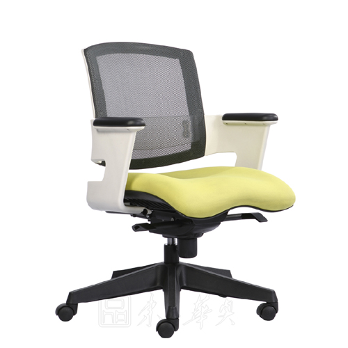 CG-207W